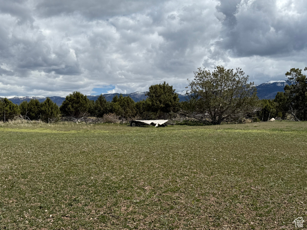 View of green lawn featuring a mountain view