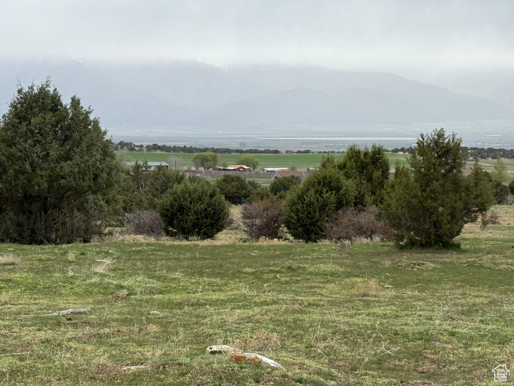 View of yard featuring a rural view and a mountain view