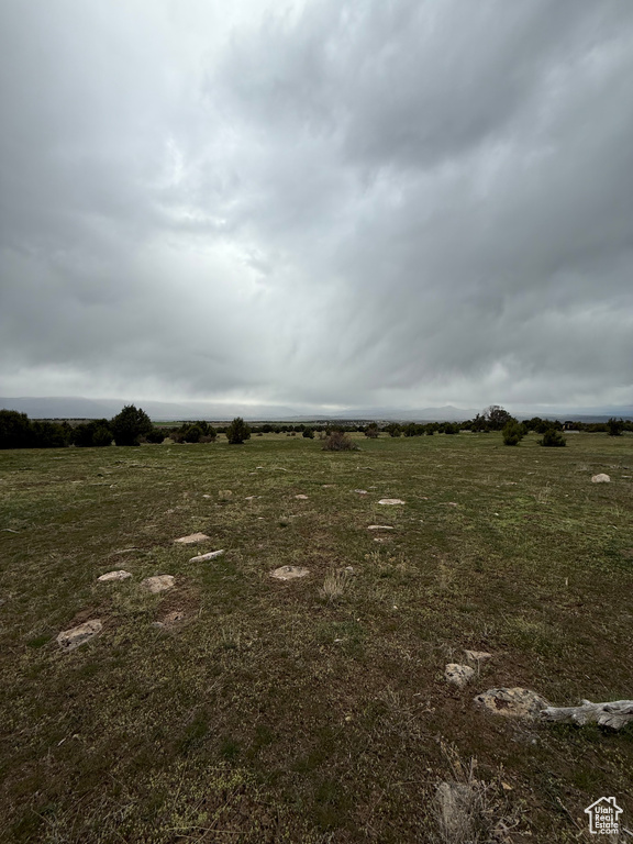 View of local wilderness featuring a rural view