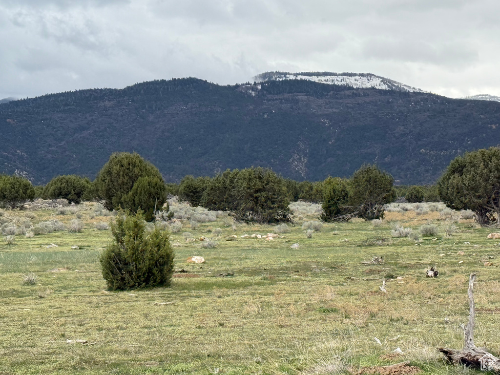 Mountain view