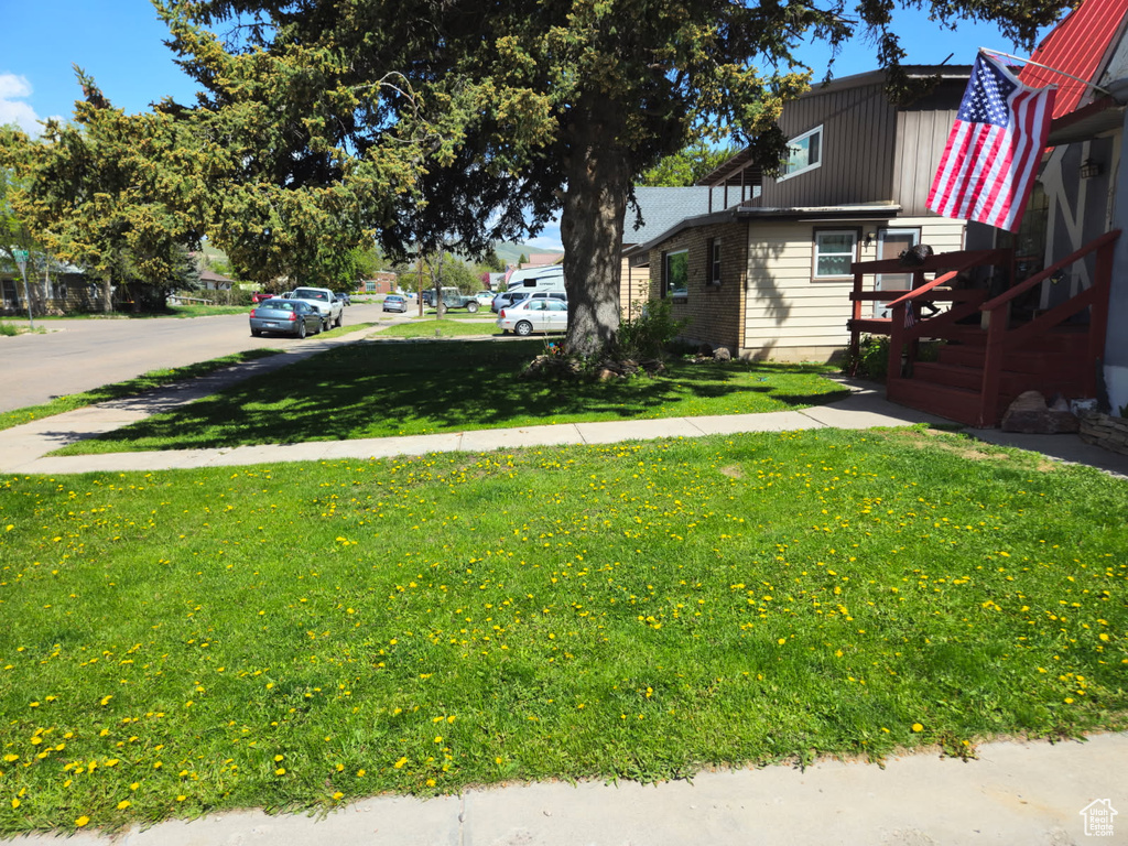 View of grassy yard