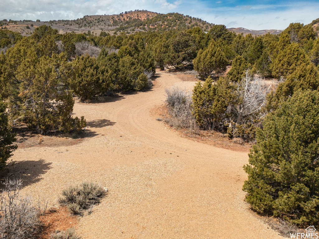 View of mountain feature featuring a forest view