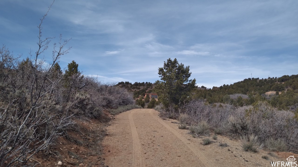 View of street with a wooded view