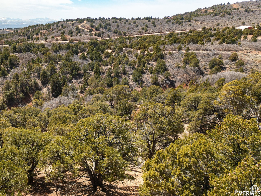 Drone / aerial view with a wooded view