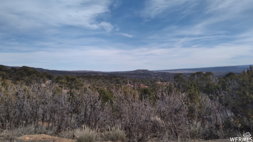 View of mountain feature with a view of trees