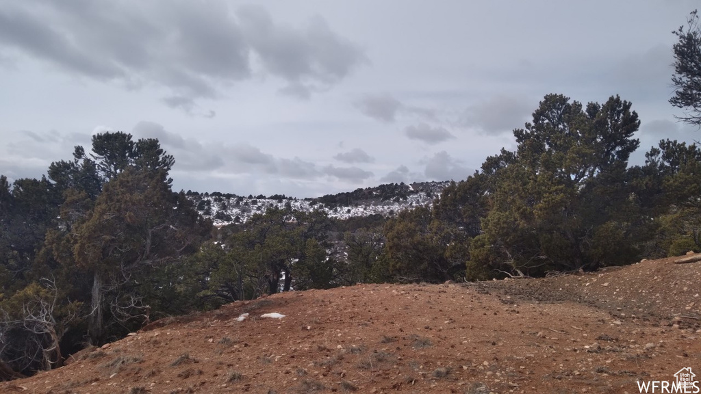 Mountain view featuring a view of trees