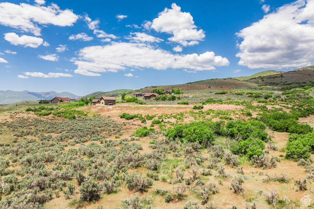 View of mountain background
