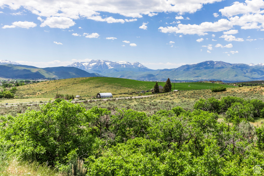 View of mountain background