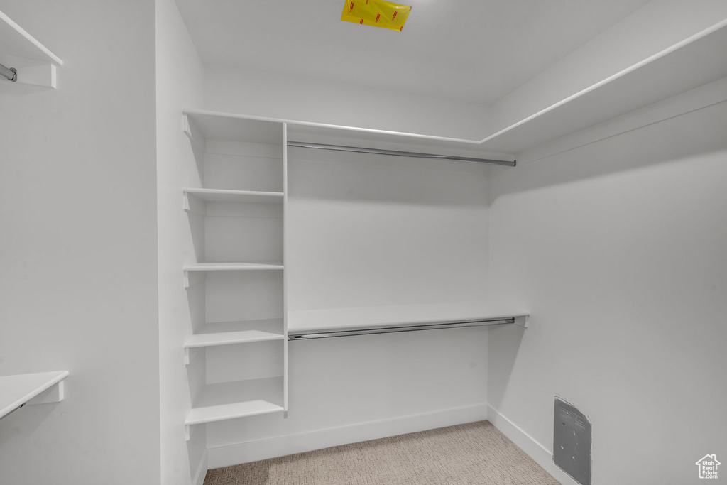 Spacious closet featuring carpet flooring