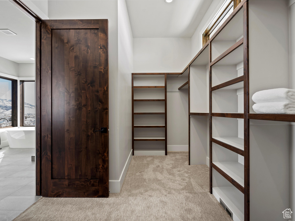 Spacious closet with carpet floors and visible vents