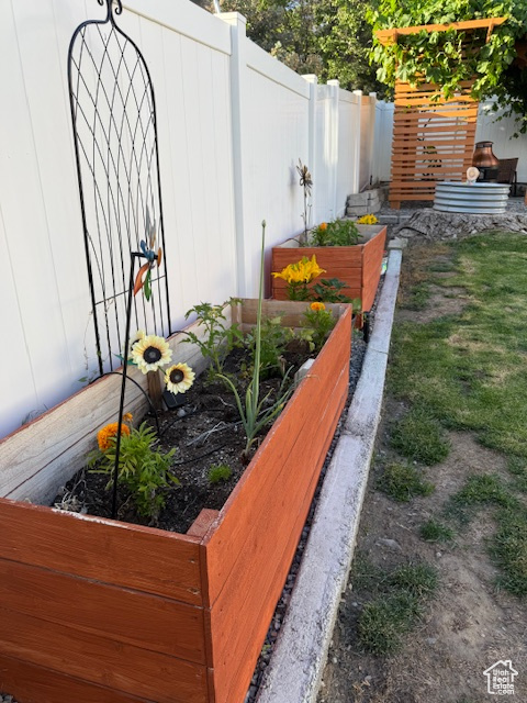 Exterior view of a vegetable garden