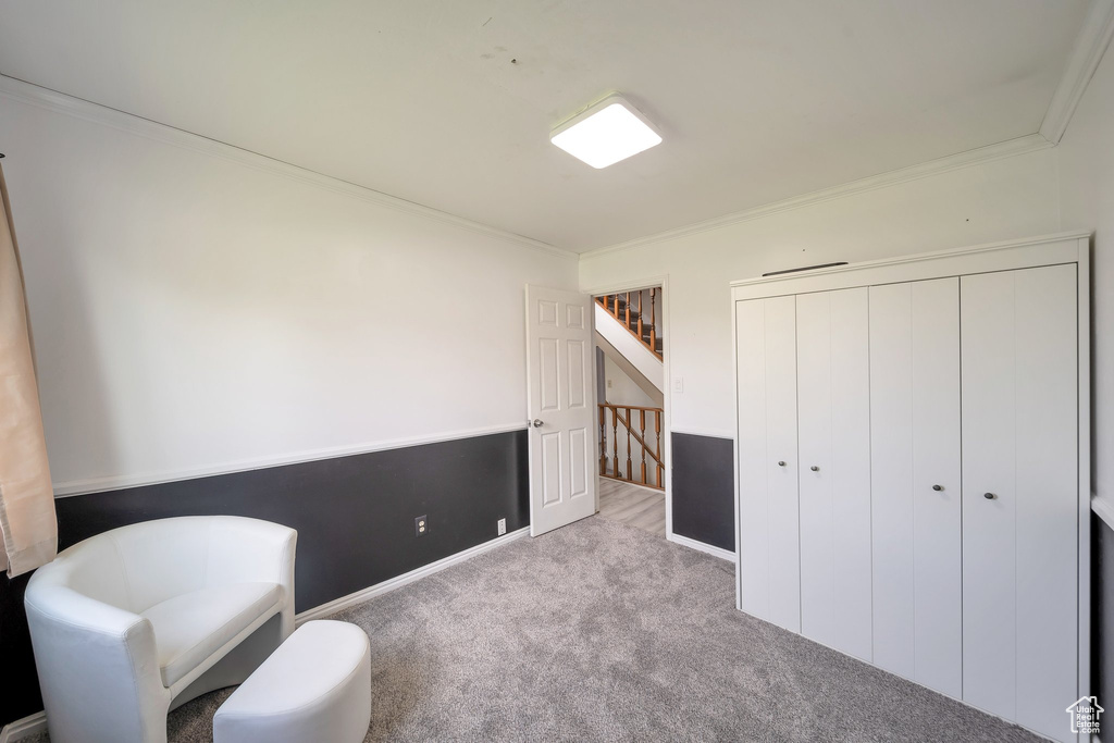Living area with crown molding, carpet, and baseboards