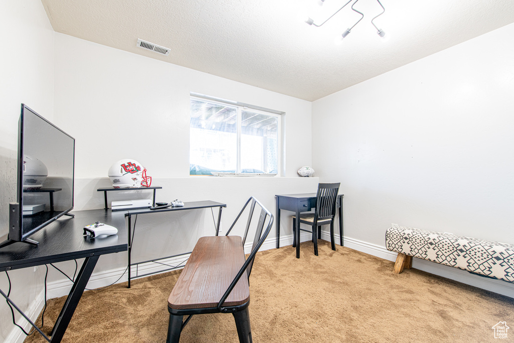 Office with a textured ceiling, carpet, visible vents, and baseboards