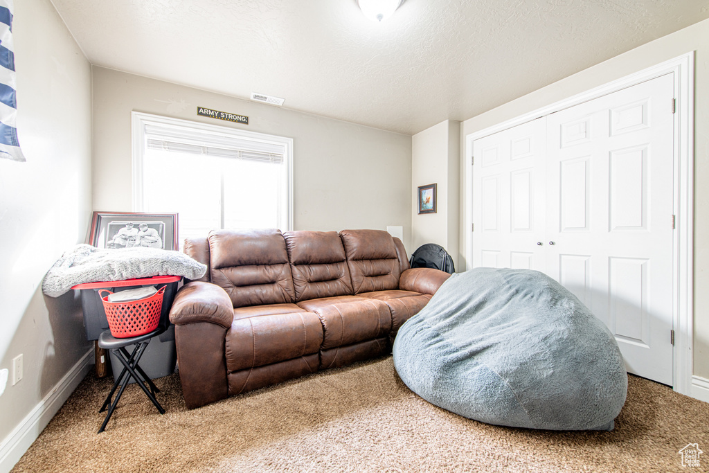 Carpeted living area featuring baseboards, visible vents, and a textured ceiling