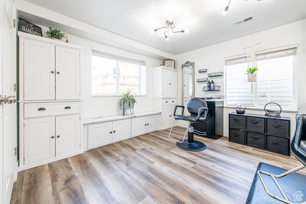 Office with visible vents and light wood-style flooring