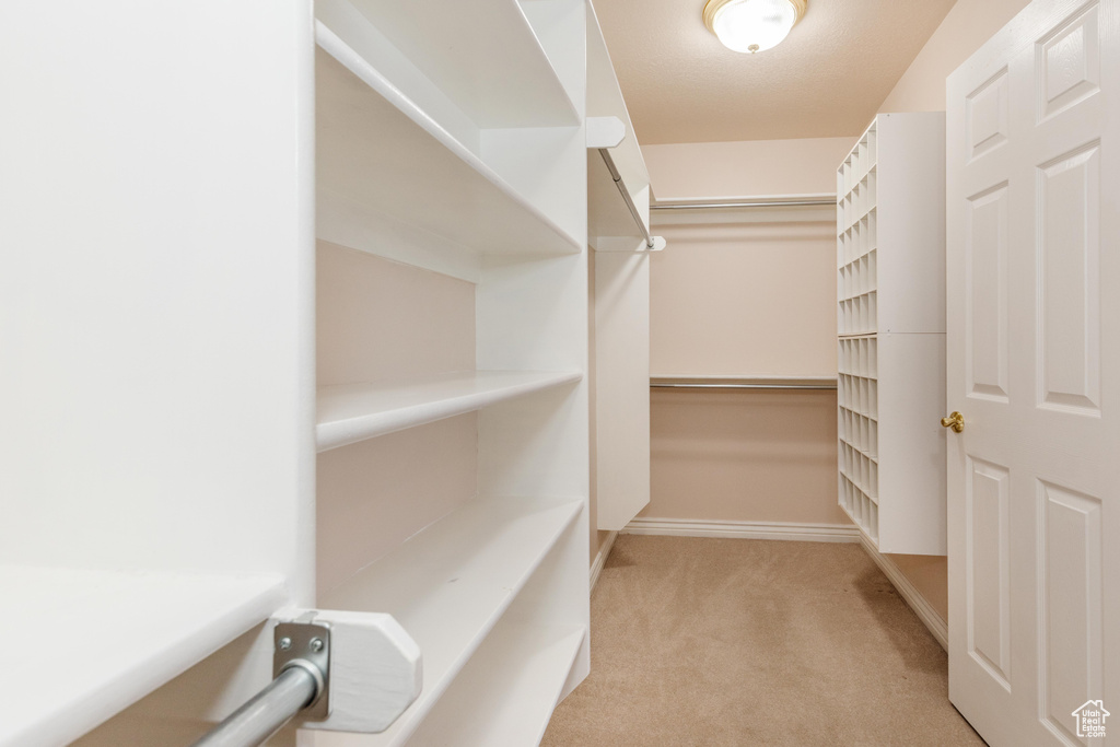 Spacious closet featuring light colored carpet