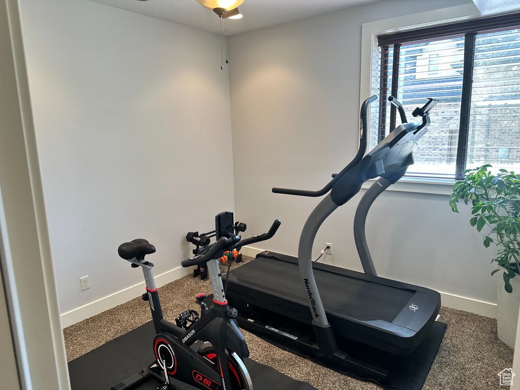 Exercise room with healthy amount of natural light, baseboards, and carpet flooring
