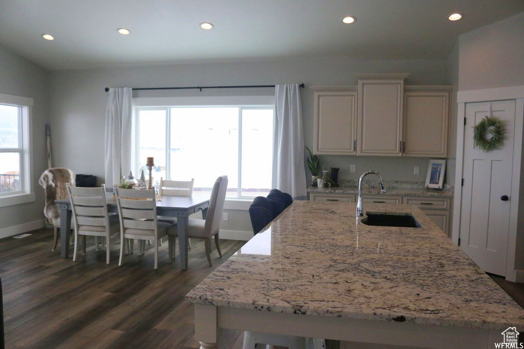Kitchen featuring plenty of natural light, dark wood finished floors, a sink, and recessed lighting