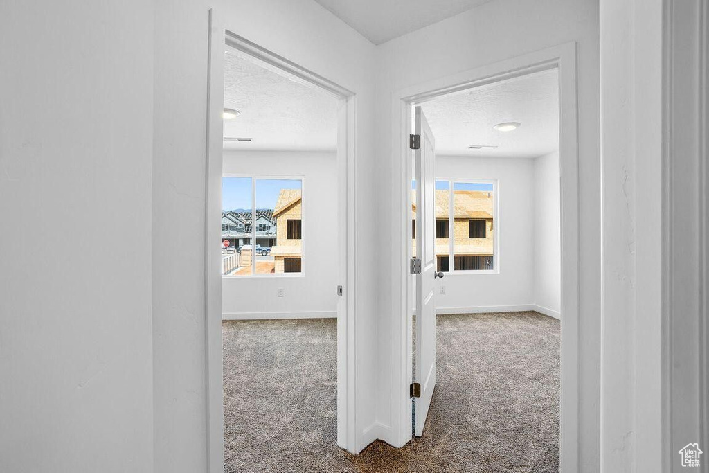 Hallway featuring plenty of natural light, a textured ceiling, and carpet flooring