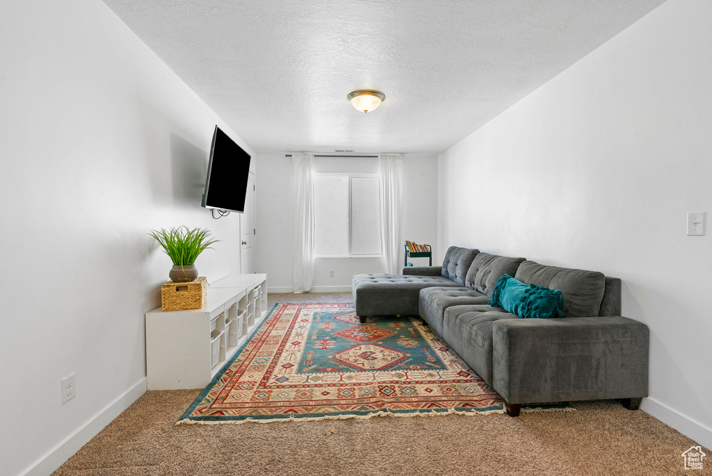 Living area featuring baseboards, a textured ceiling, and light colored carpet