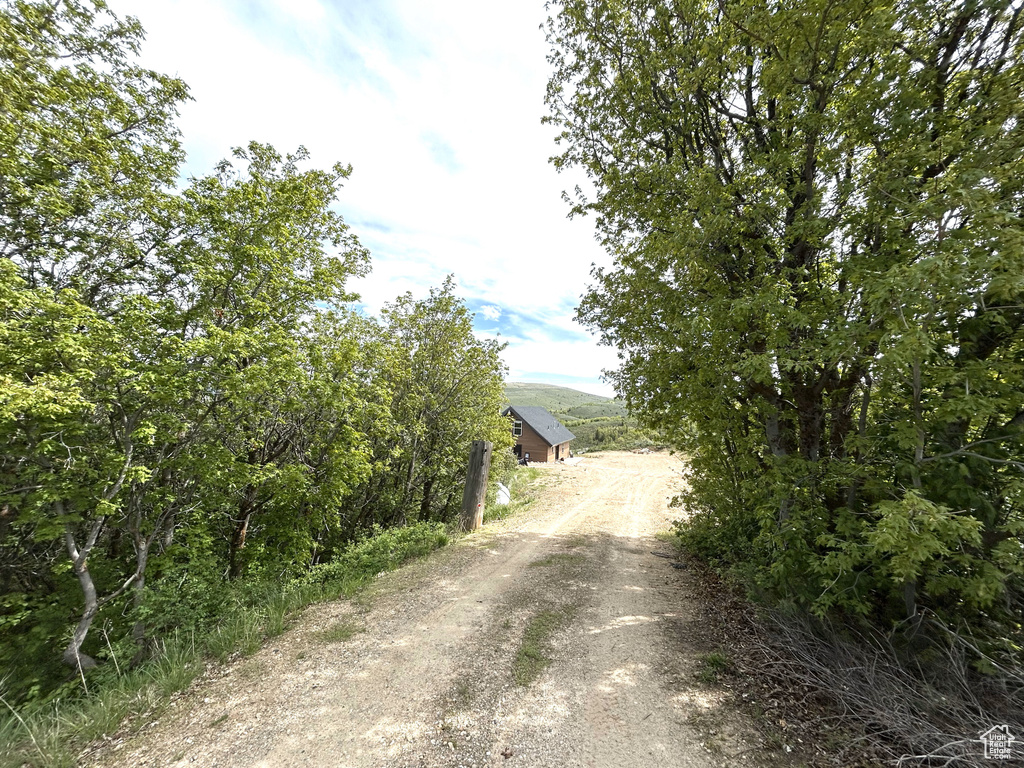 View of street