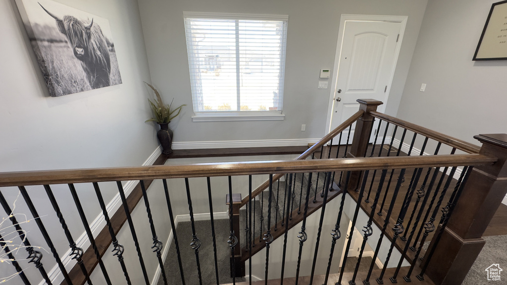 Stairs with baseboards