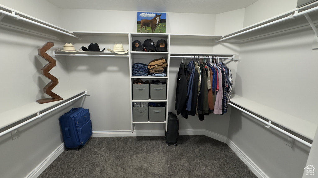 Spacious closet with dark colored carpet