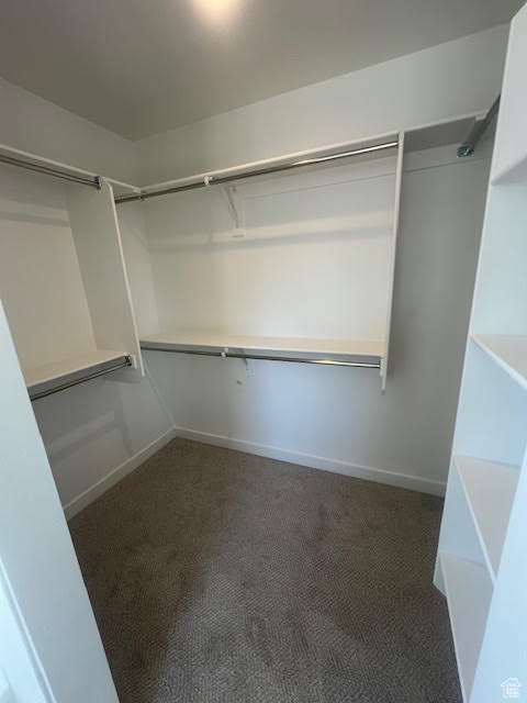 Spacious closet with carpet floors