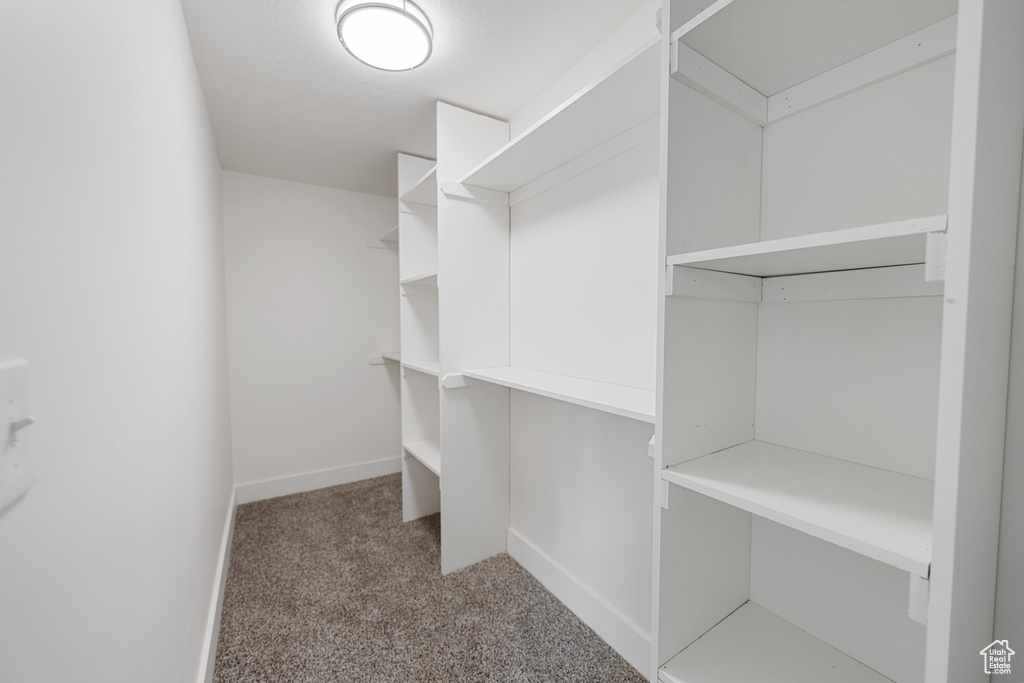 Walk in closet featuring carpet floors