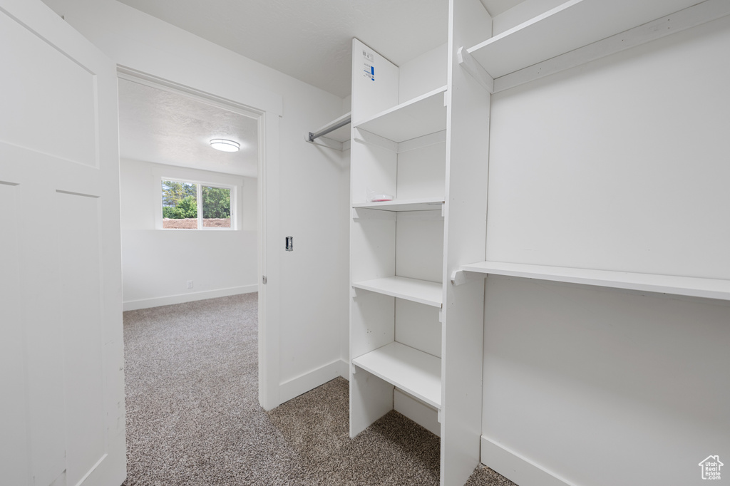 Walk in closet featuring carpet floors