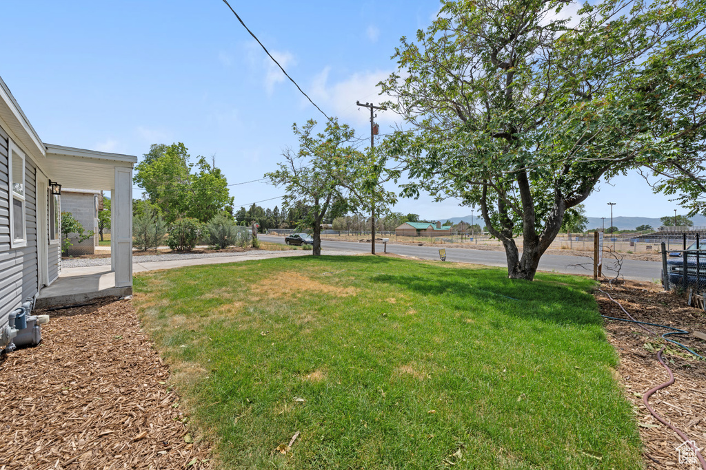 View of grassy yard