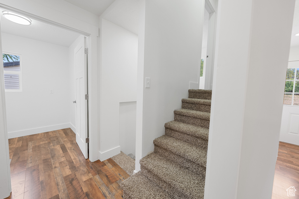 Stairs with wood finished floors