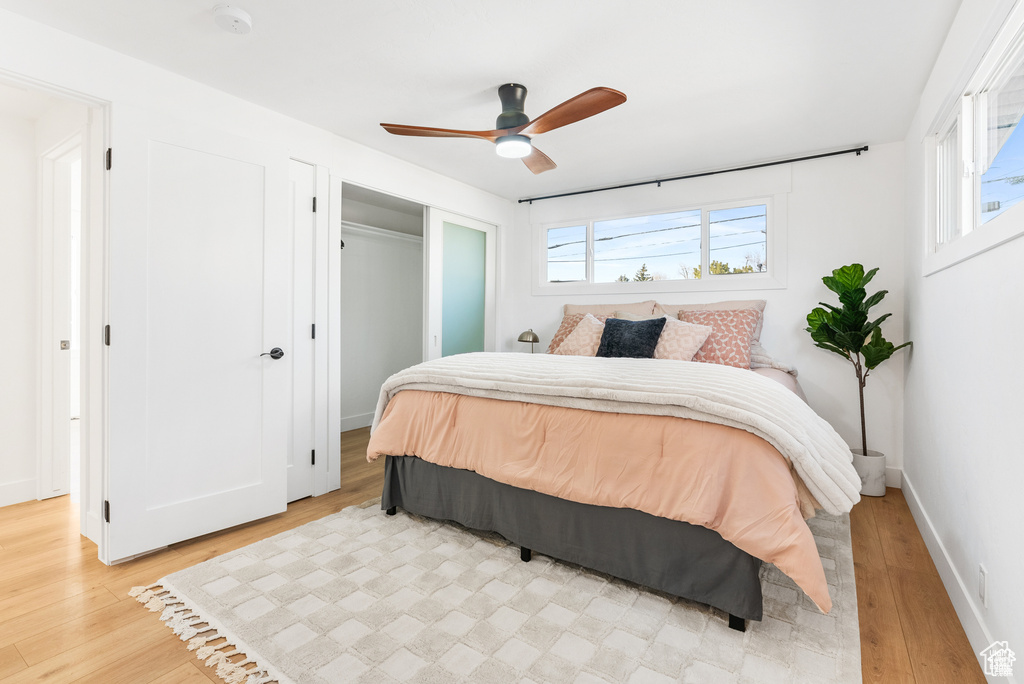 Bedroom with light wood finished floors, multiple windows, a ceiling fan, and baseboards