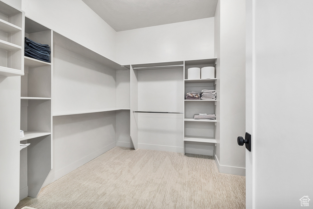 Spacious closet featuring carpet flooring