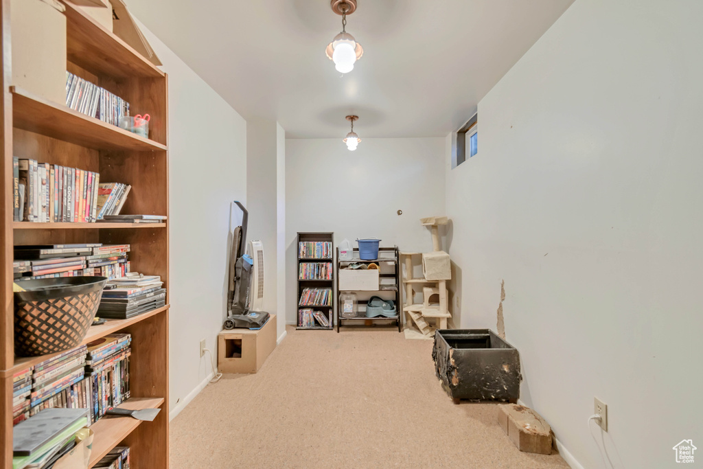 Interior space featuring carpet flooring and baseboards