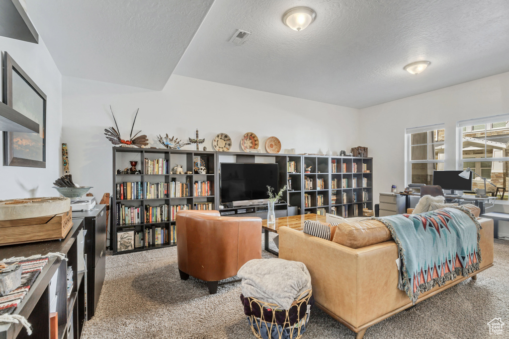 Living room with a textured ceiling, carpet floors, and visible vents