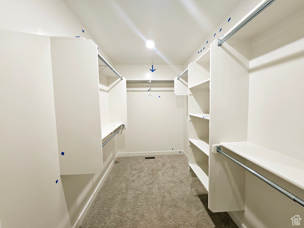 Spacious closet with carpet