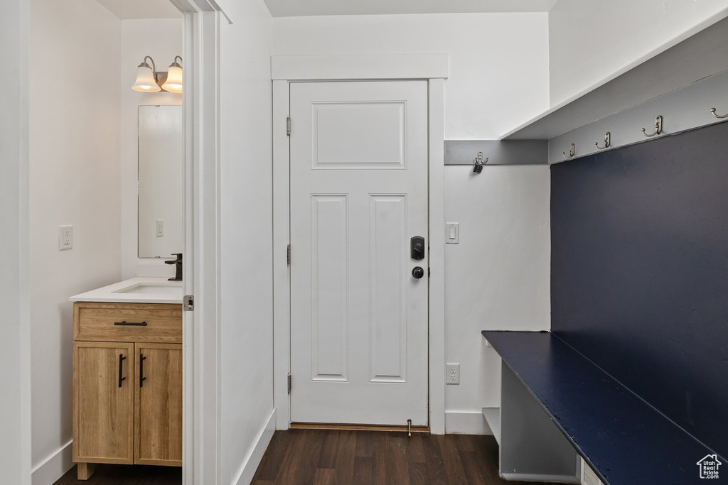 Mudroom featuring dark wood-style flooring and a sink