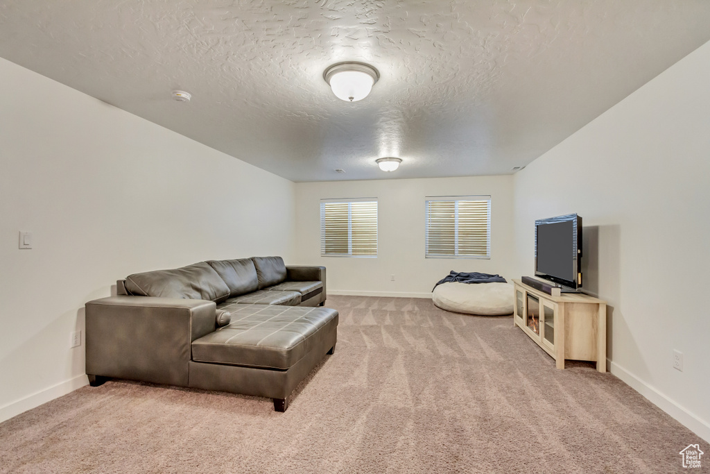 Living room featuring carpet floors, baseboards, and a textured ceiling