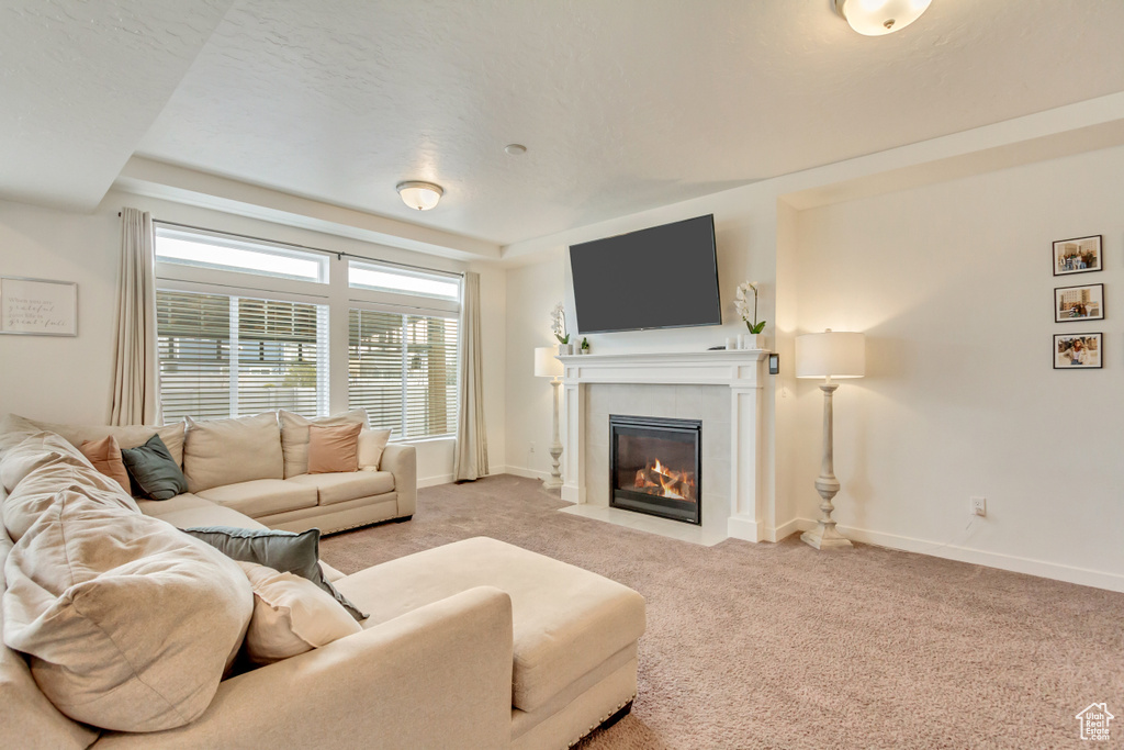 Living area with light carpet, a fireplace with flush hearth, and baseboards