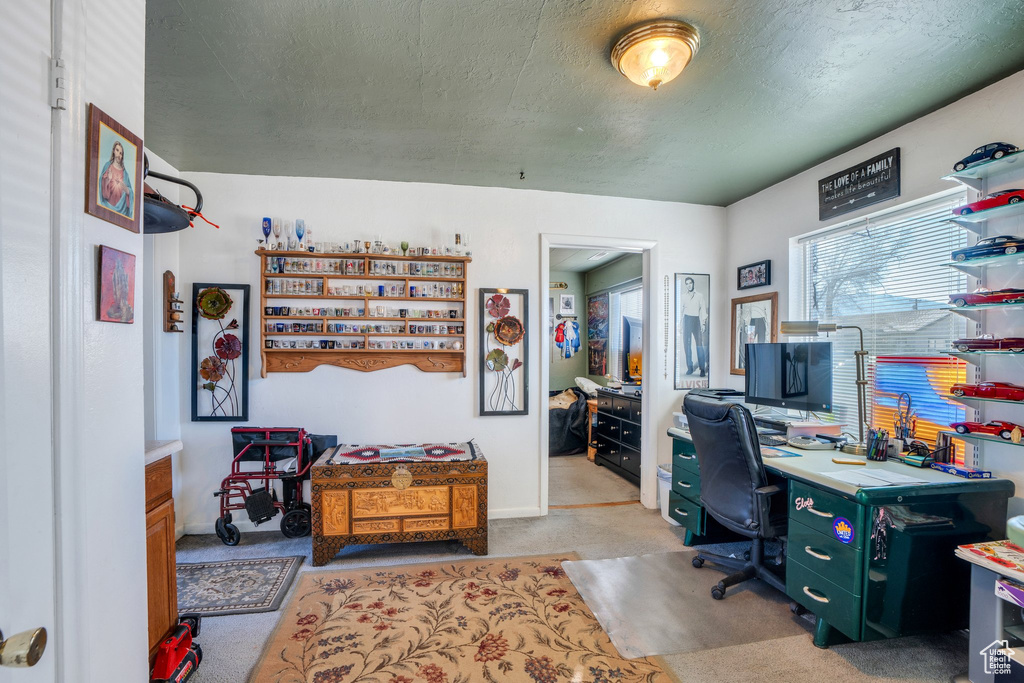 Office area with a textured ceiling and light colored carpet