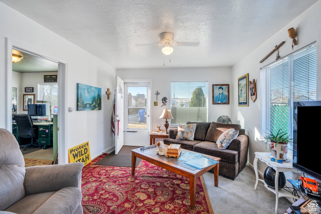 Living room featuring carpet floors, ceiling fan, a textured ceiling, and a wealth of natural light