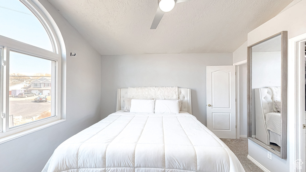 Bedroom with carpet, multiple windows, ceiling fan, and a textured ceiling