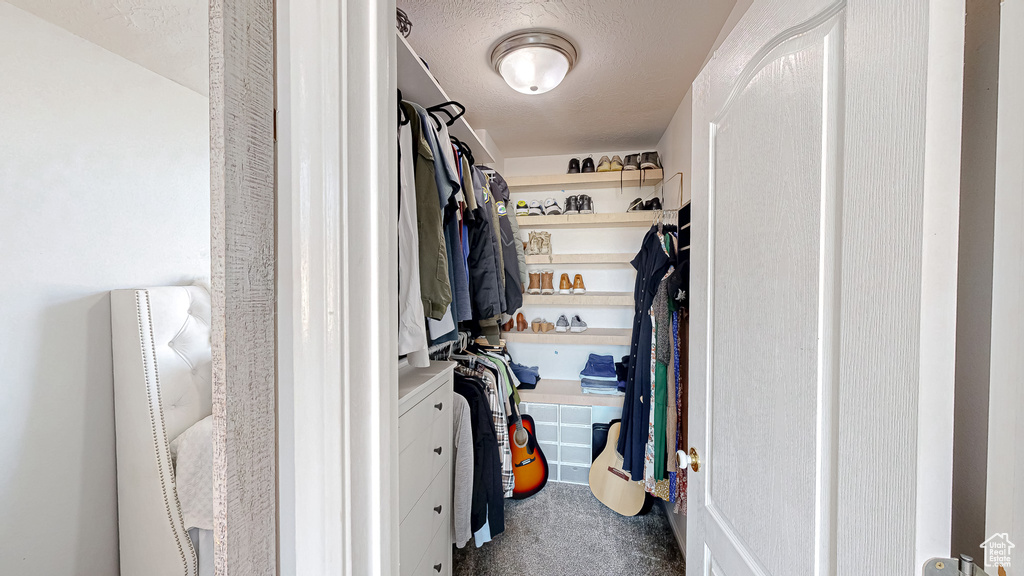 Spacious closet with carpet flooring