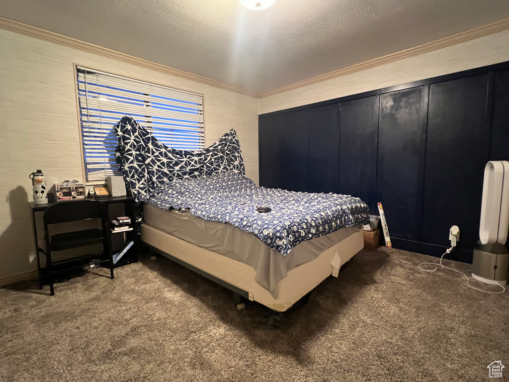 Carpeted bedroom featuring crown molding and a textured ceiling