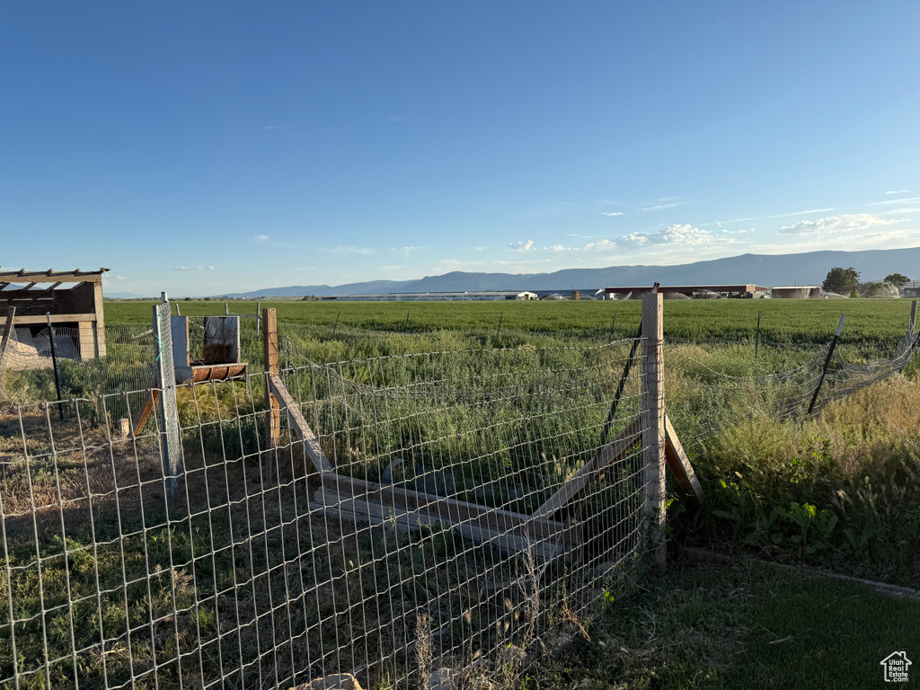 View of yard with a view of rural / pastoral area and a mountain view
