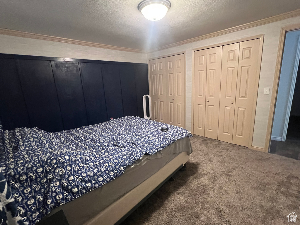 Carpeted bedroom with a textured ceiling, ornamental molding, and two closets