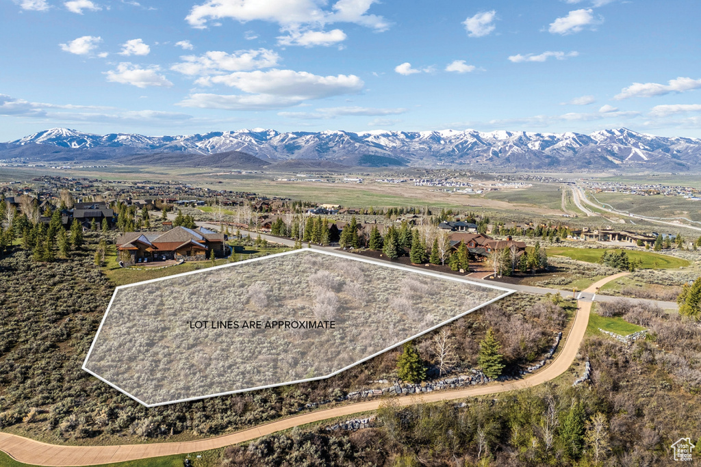 Birds eye view of property featuring a mountain view