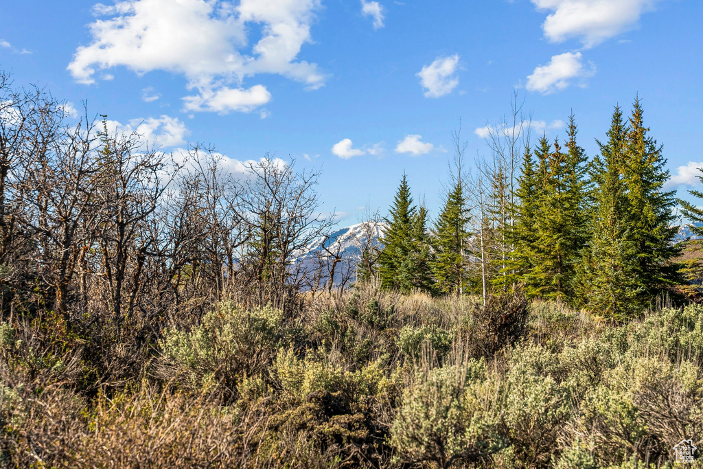 View of mountain feature