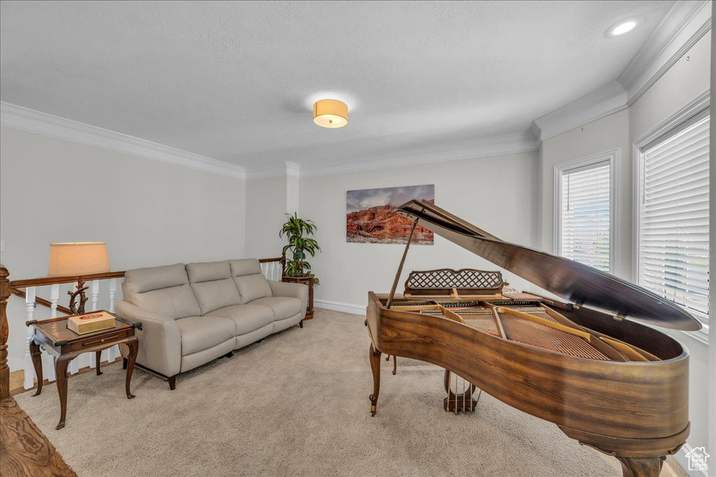 Living room with crown molding, light carpet, and baseboards